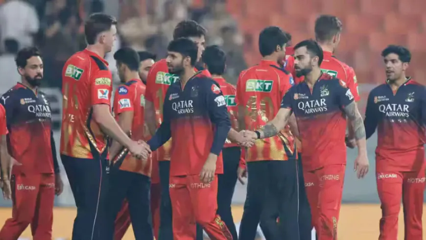 RCB Crush PBKS with Ruthless Bowling Display