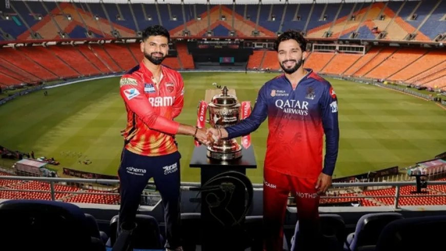 Who Will Be the Winner of IPL 2025 Final – Royal Challengers Bengaluru or Punjab Kings?