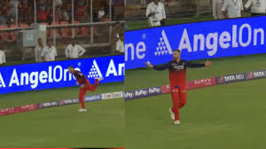 Phil Salt's Brilliant Catch Turn the Match in RCB's Favor